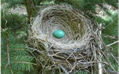 And Then, Spring Came~ An Intimate Share